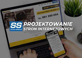 Strony internetowe Skierniewice - responsywne, nowoczesne